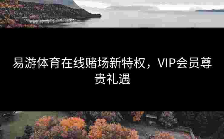 易游体育在线赌场新特权，VIP会员尊贵礼遇